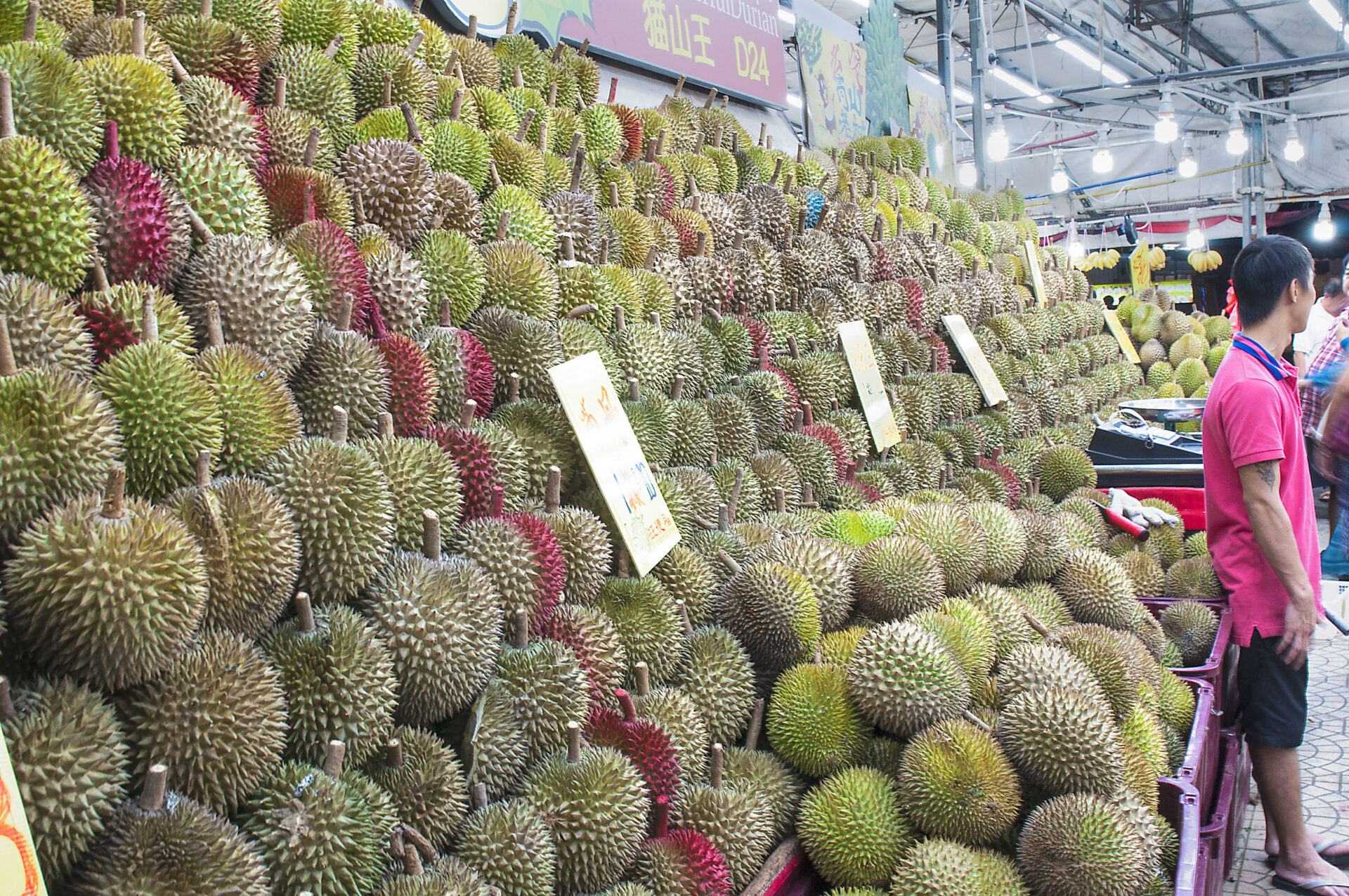 durian_1