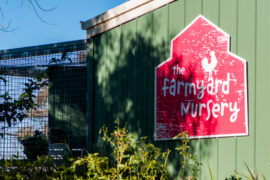 Fun at the Farmyard Nursery